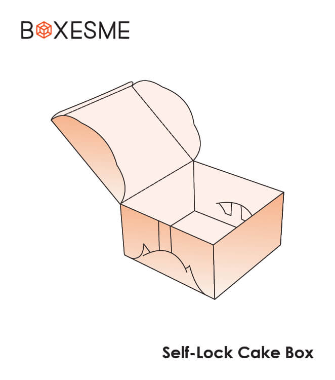 Self Lock Cake box (3)